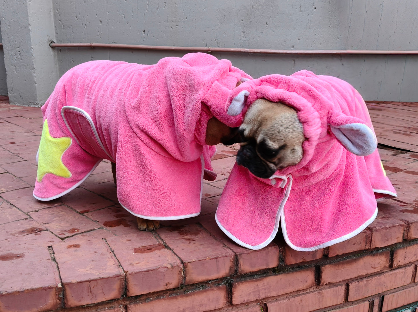 Dog Bathrobe with hood