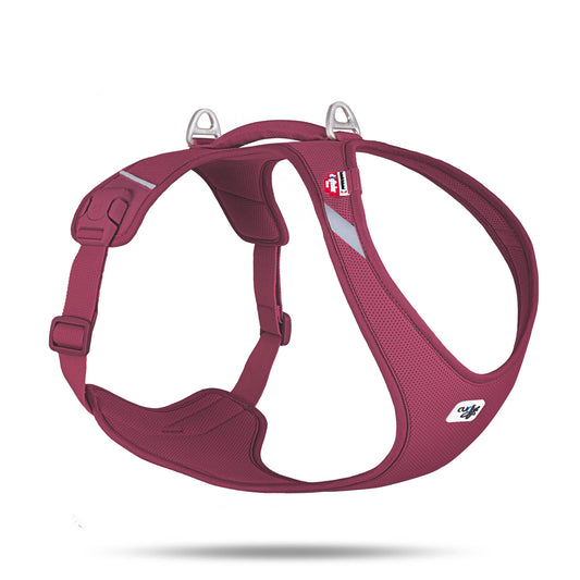 Curli Belka Comfort Harness