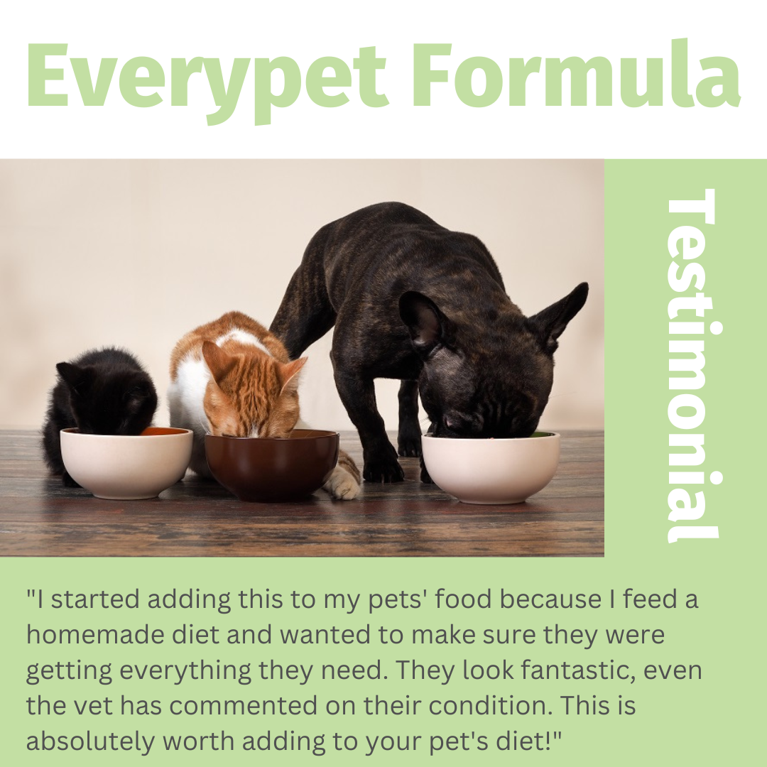 Everypet Formula