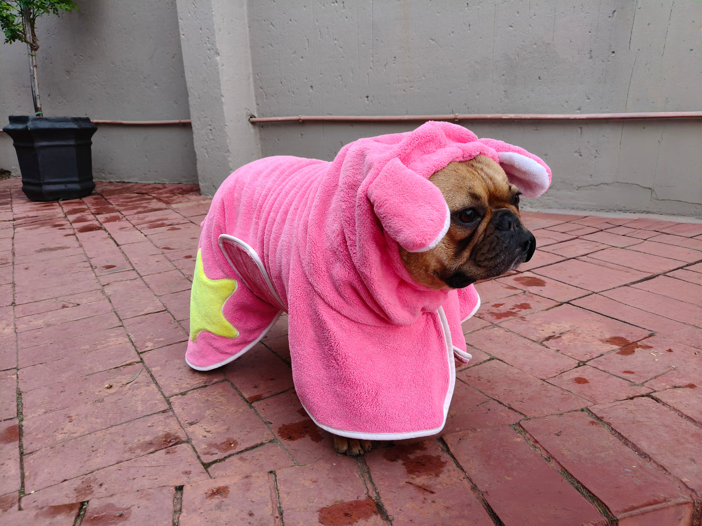 Dog Bathrobe with hood