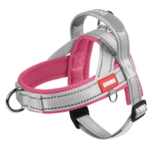 Harness – No-Pull, Padded & Escape-Proof