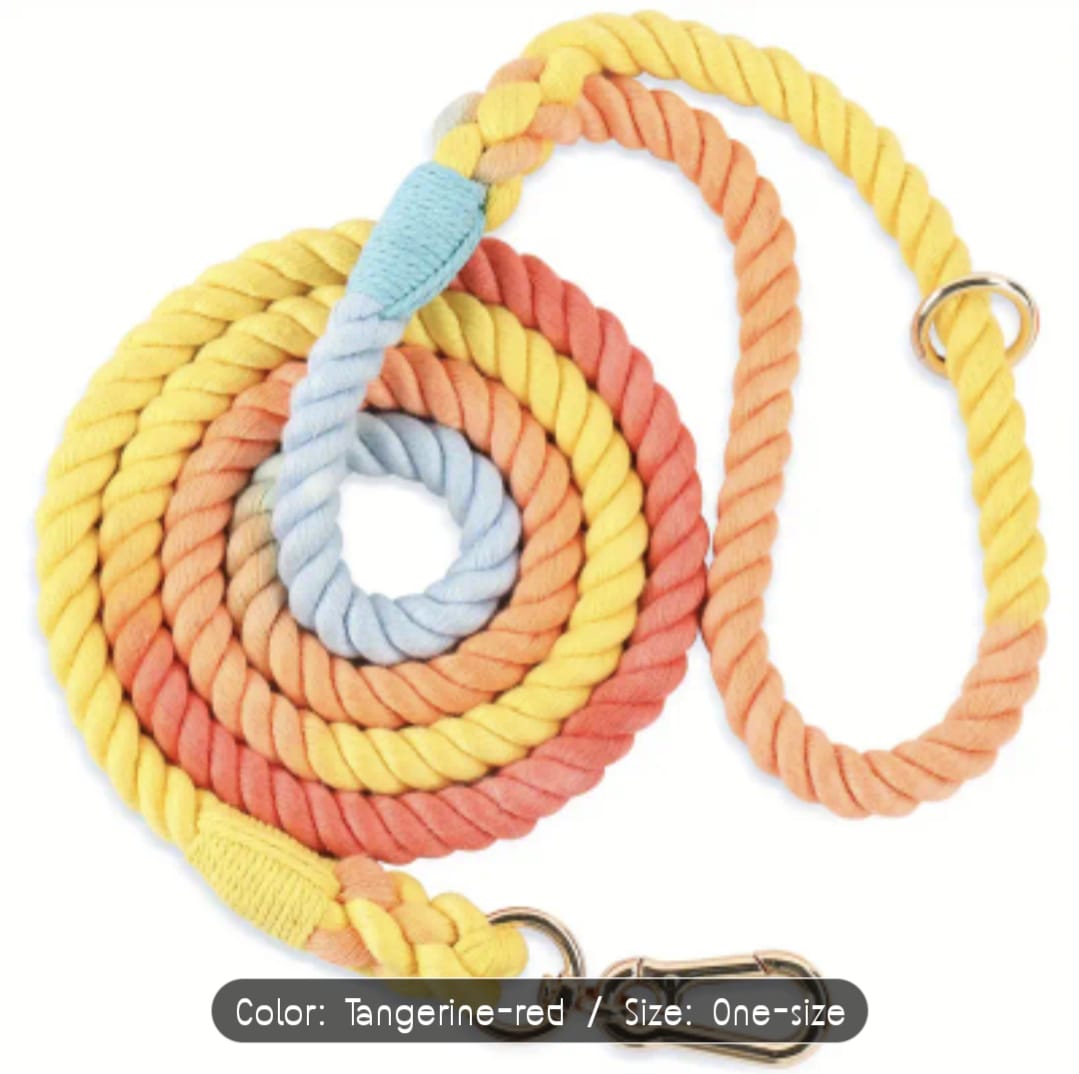 Strong & Stylish Braided Rope Dog Leash